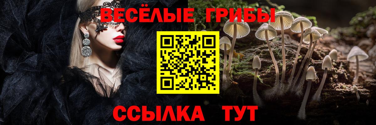 Тельмана  Псилоцибиновые грибы Magic Shrooms  Псилоцибиновые грибы мухоморы  Вход с VPN 